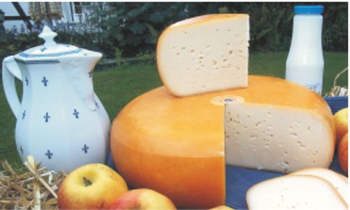Käse