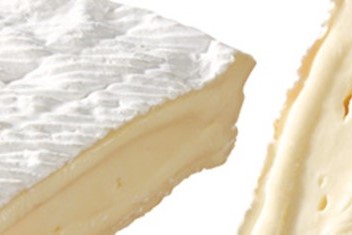 Käse für ein Käsepartybrot