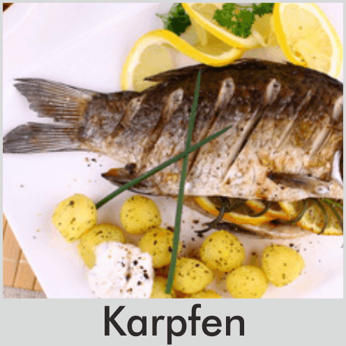 Karpfen