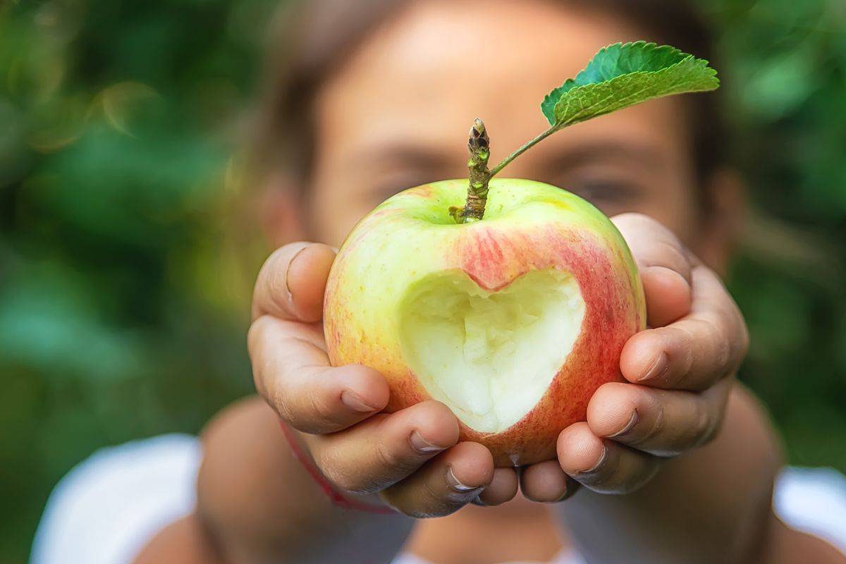 Bauernhof Jahreskurse
