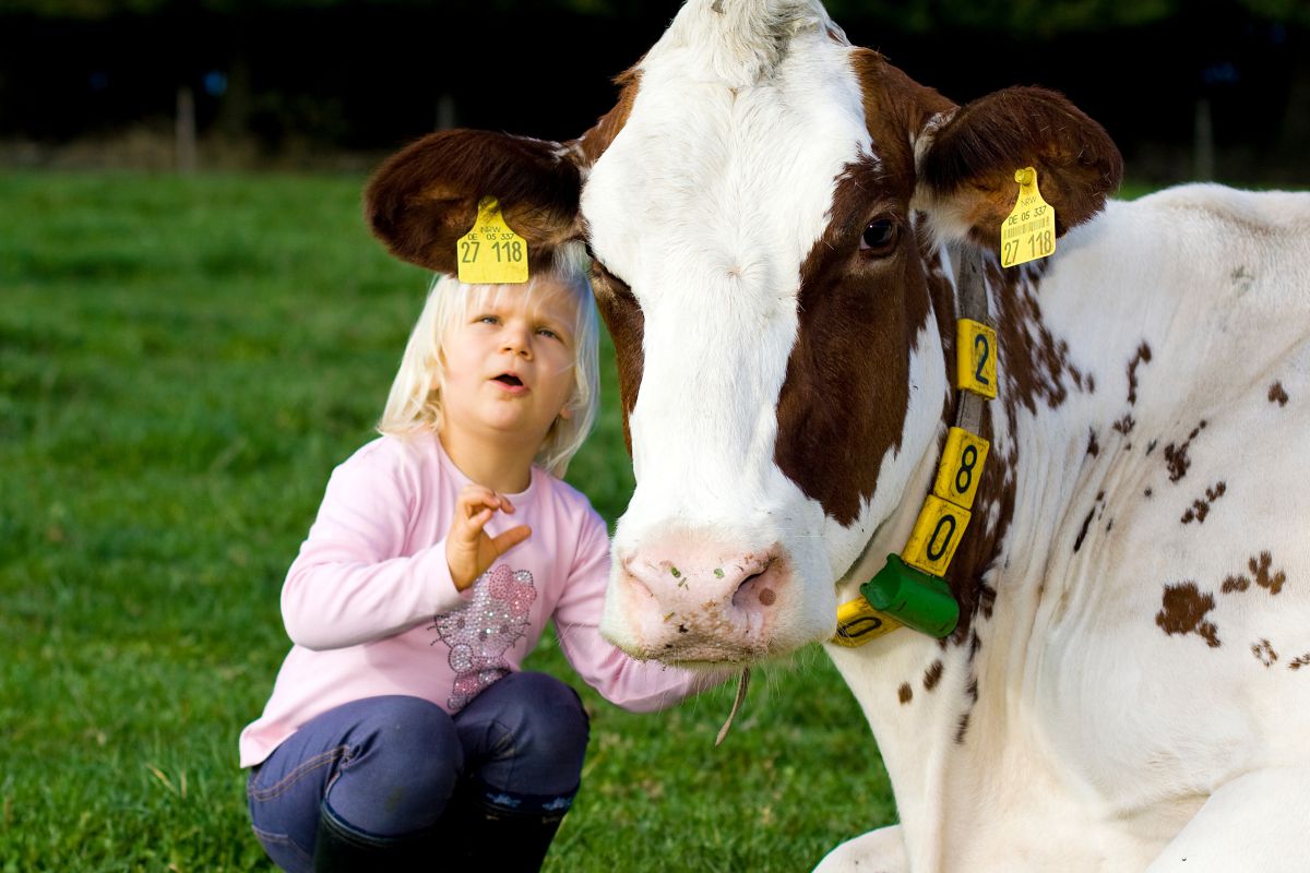 Mithilfe auf dem Bauernhof