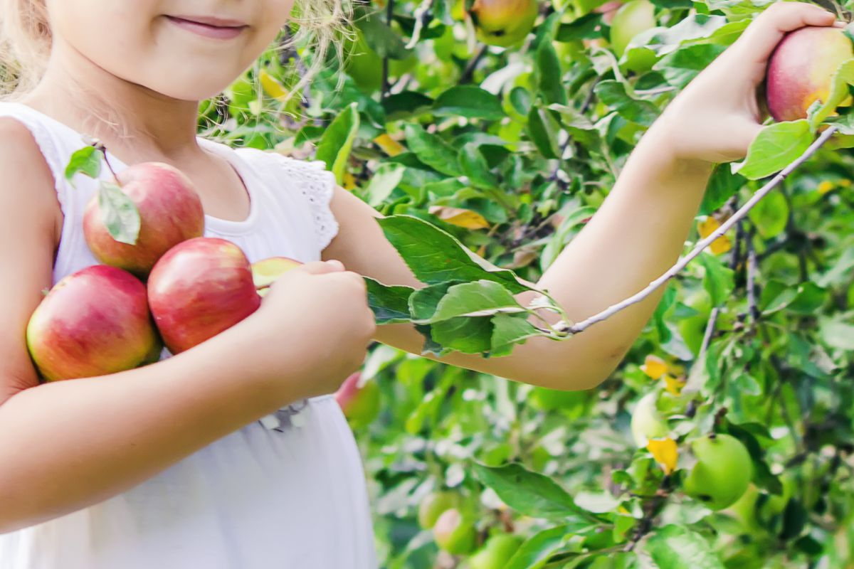 Naturkunde für Kinder