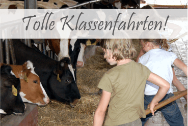 KLASSENFAHRTEN ZUM BAUERNHOF