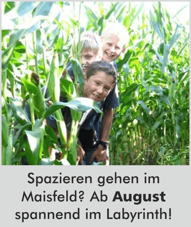 Spazieren gehen im Maisfeld? Ab August spannend im Labyrinth!
