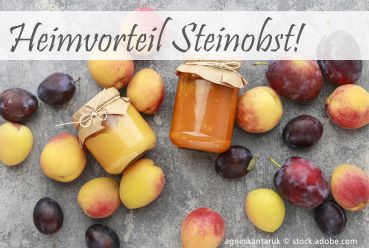 LECKERES STEINOBST!