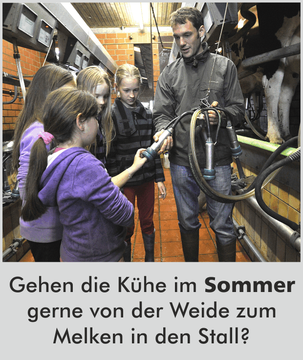 Gehen die Kühe im Sommer gerne von der Weide zum Melken in den Stall?