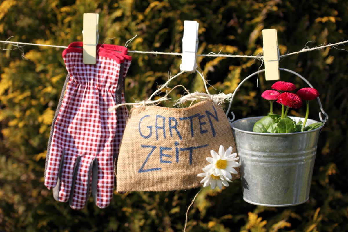 Pflege und Garten auf dem Bauernhof