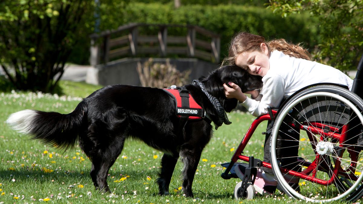 Tiergestützte Therapie