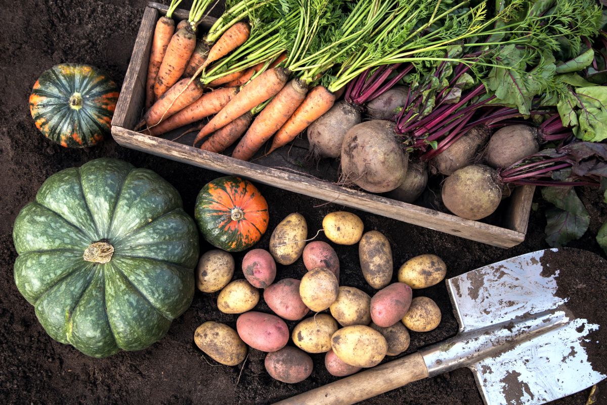 Workshop Umweltbewusstsein