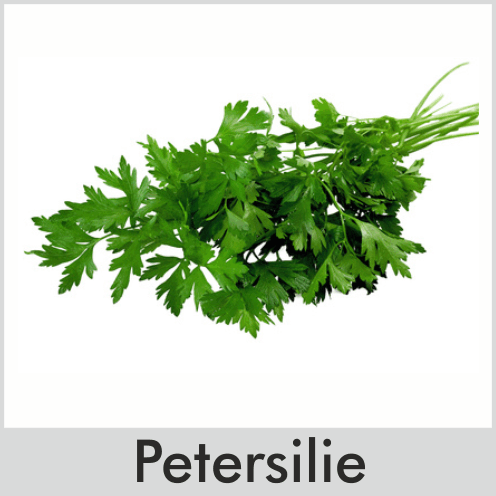 Petersilie