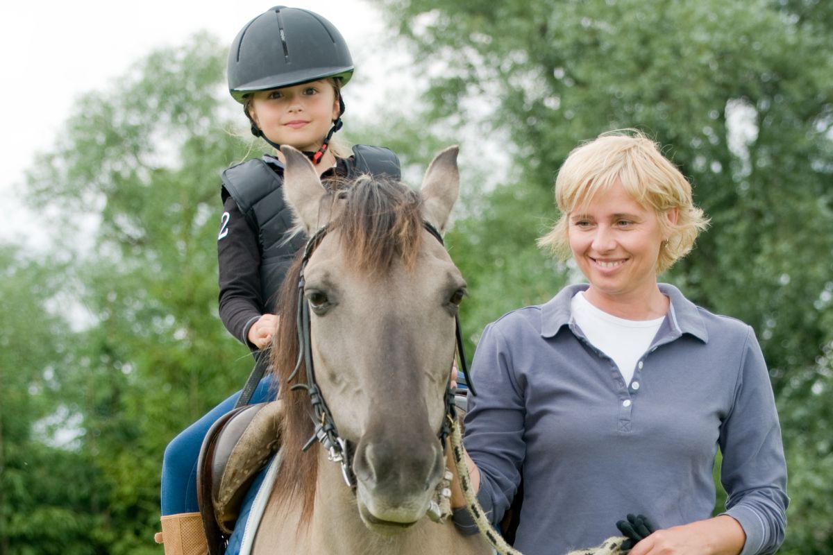 Reitunterricht für Anfänger