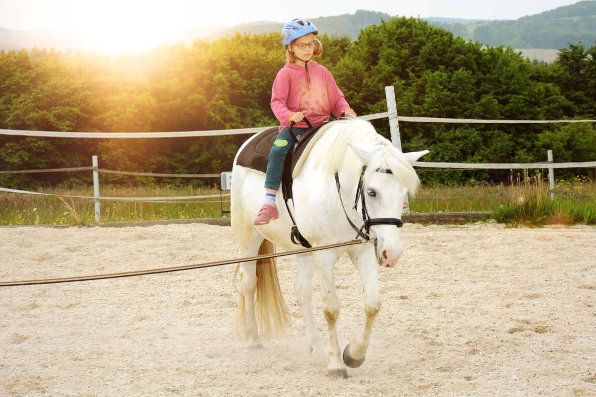 Therapeutisches Reiten