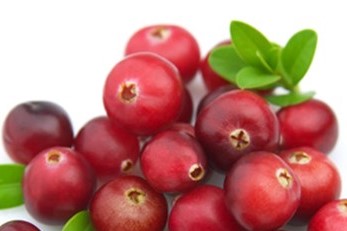 Preiselbeeren für einen Linzer-Preiselbeekuchen