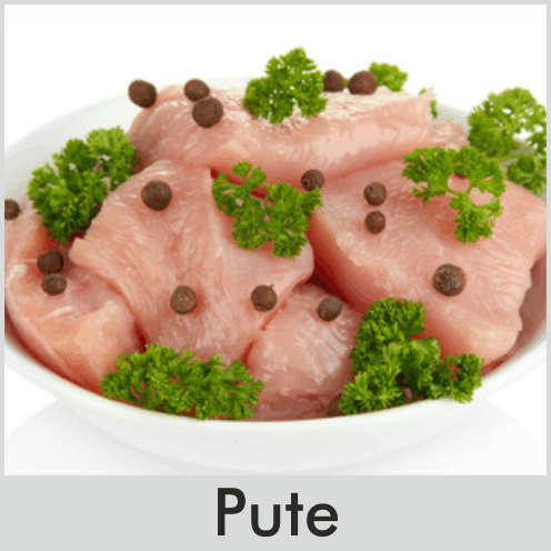 Pute