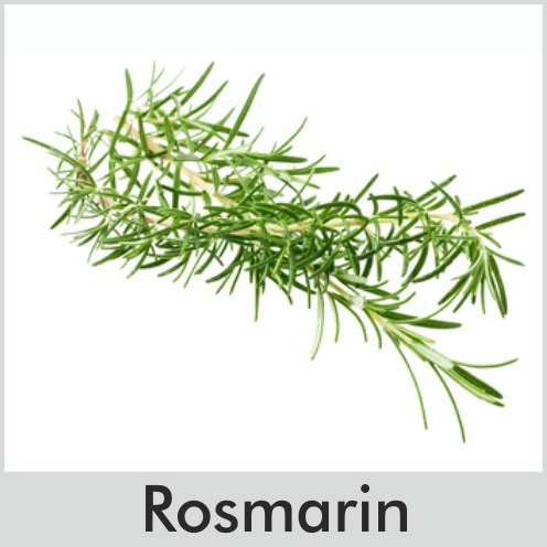 Rosmarin