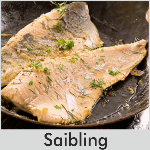 Saibling