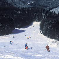 Sauerland