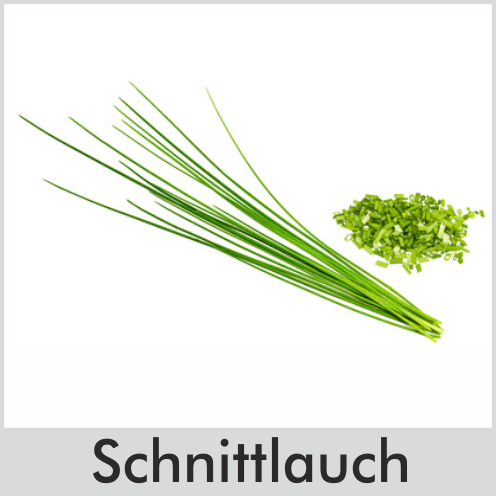 Schnittlauch
