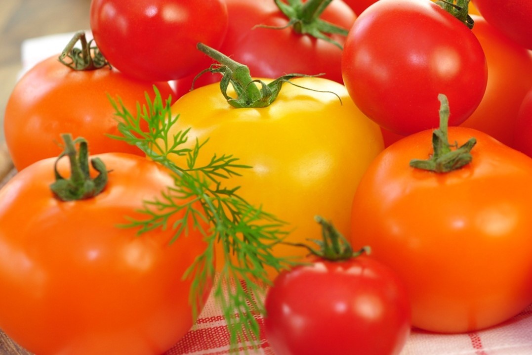 Tomatengemüse in Pfannekuchen
