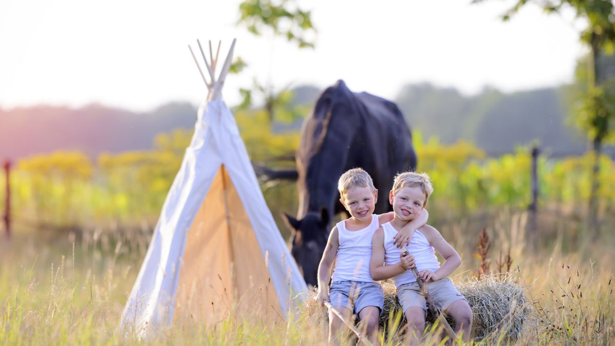 Bauernhof Traktor fahren