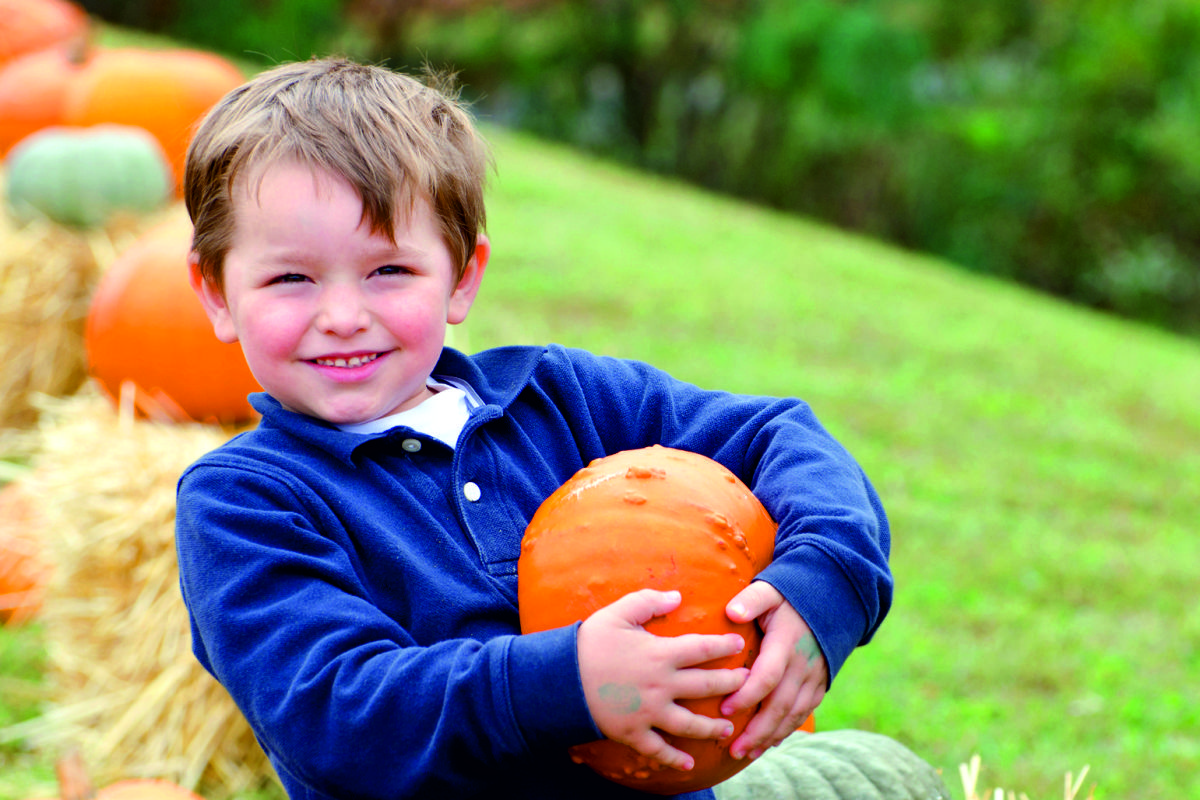 Hoffeste in der Nähe