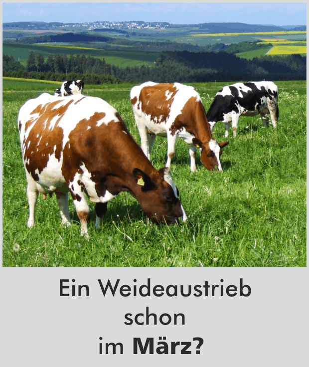 Ein Weideaustrieb schon im März?